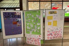 viber_image_2025-05-09_11-45-19-075