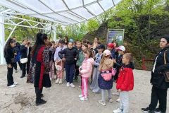 IMG-286f097747bb1b33ae934507b0dc52b4-V