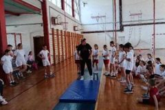 viber_image_2026-05-11_10-45-10-006