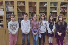 viber_image_2026-02-12_12-23-51-905