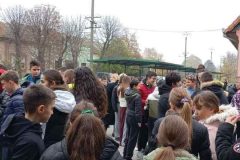 viber_image_2025-11-12_11-18-55-639