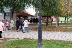 viber_image_2025-11-12_11-18-56-493