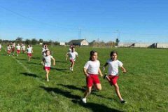 viber_image_2024-10-11_15-58-52-395