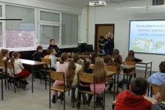 viber_image_2025-12-17_12-50-43-550